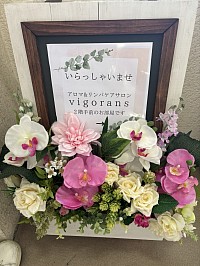 色鮮やかなお花がサロンのご案内係🌸✨